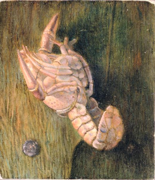 Crayfish