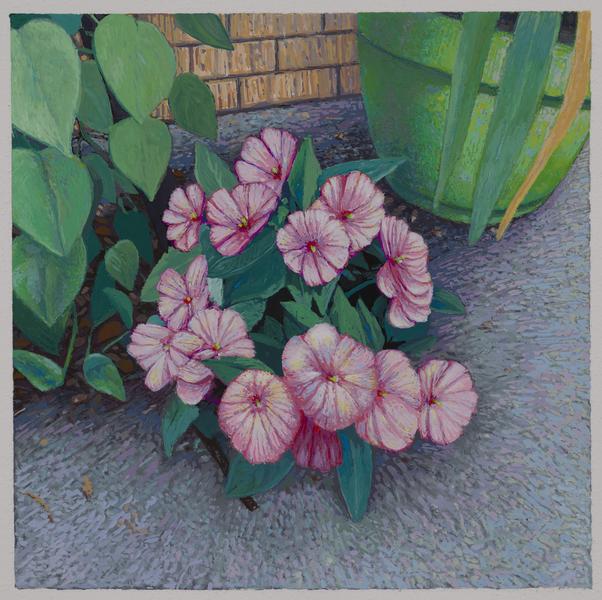 Flowers for Sally