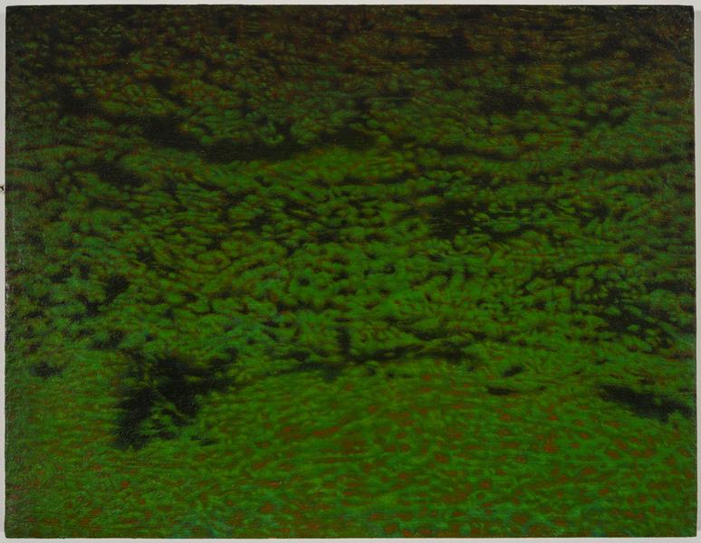 Pond (Olmsted)