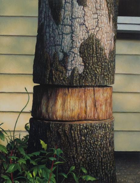 Portrait of a Tree