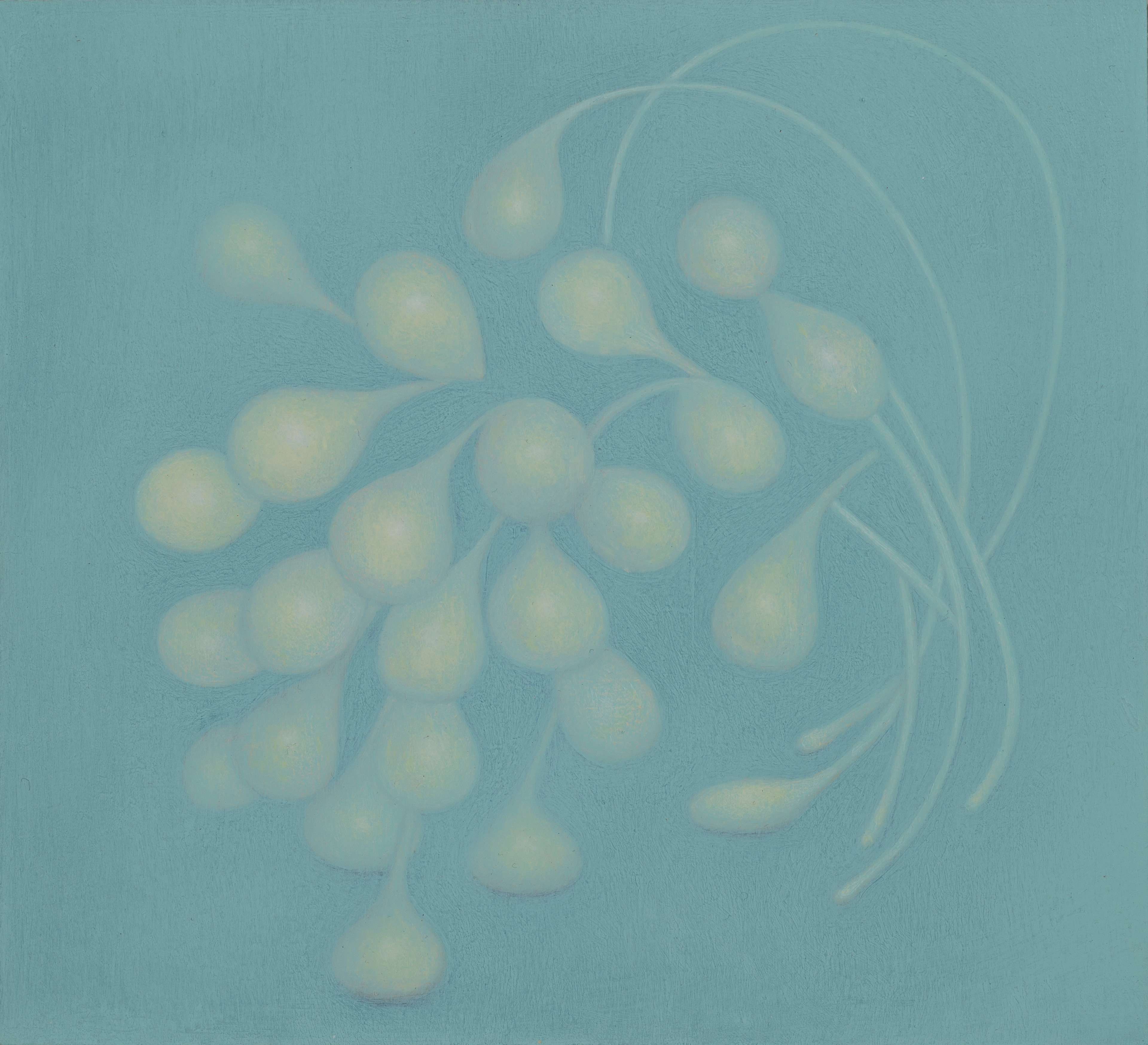 Untitled (for Stephen Brown 1)